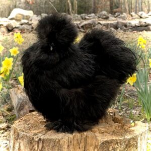 Red brick building with white trim and multiple windows