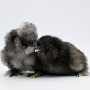 Woman eating salad at restaurant table