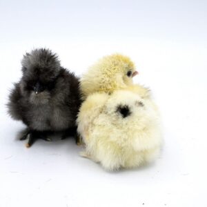 Woman in yellow dress holding smartphone outdoors